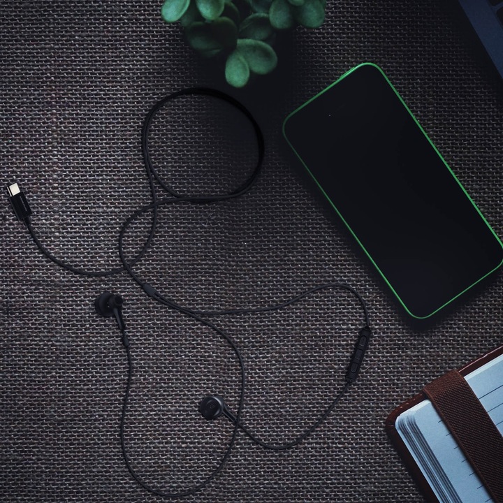 Produktbild Avizar USB-C Kopfhörer (Kabelgebunden)
