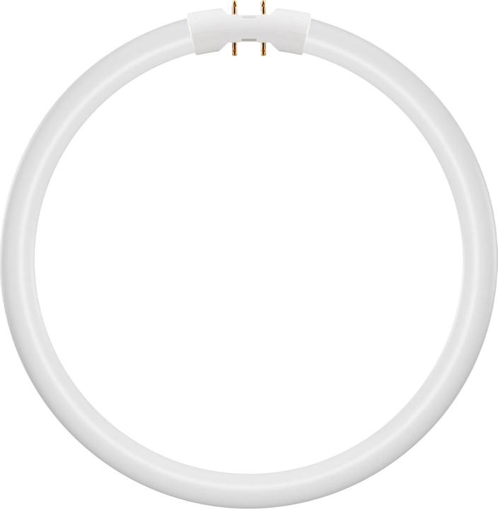 Actual product image Ledvance LED ring tube T5FC, 2GX13 (2GX13, 2900 lm)