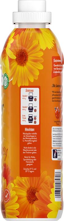 Actual product image Lenor Fabric softener (56 Washing cycles)
