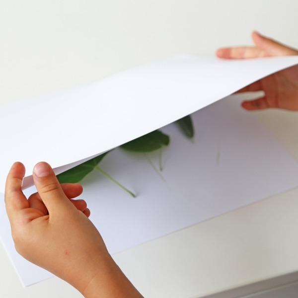 Produktbild Primo Wachsmalstifte Schulbox 30-teilig (30x)