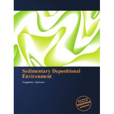 Sedimentary Depositional Environment, Fachbücher