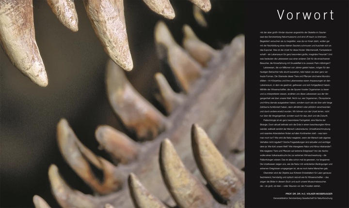 Actual product image Dinosaurier und andere Lebewesen der Urzeit (German, Stephan Matthiesen, Kim Dennis-Bryan, Eva Sixt, Dr Andrea Kamphuis, Douglas Palmer, 2020)