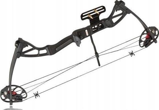 Image du produit Ek Archery Rex Black