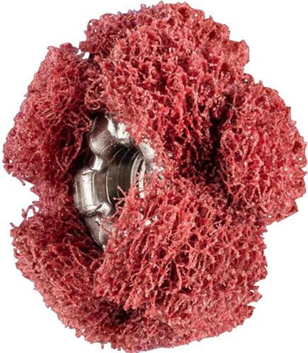 Image du produit Pferd Schleifsterne (280)