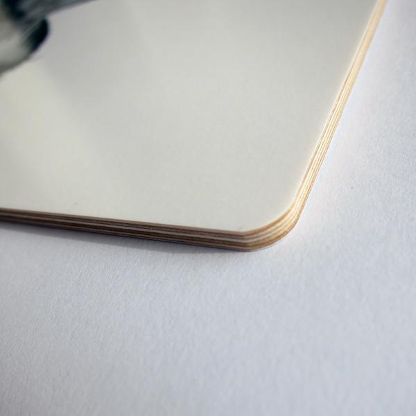 Actual product image Nuukk Cutting Board Panda