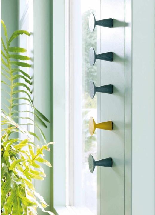 Actual product image Schönbuch Cone wall hooks