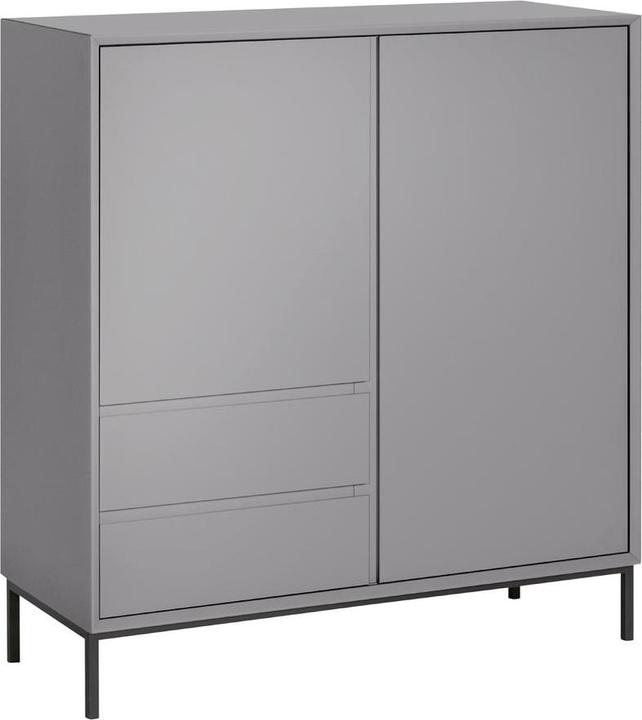 Gris platine