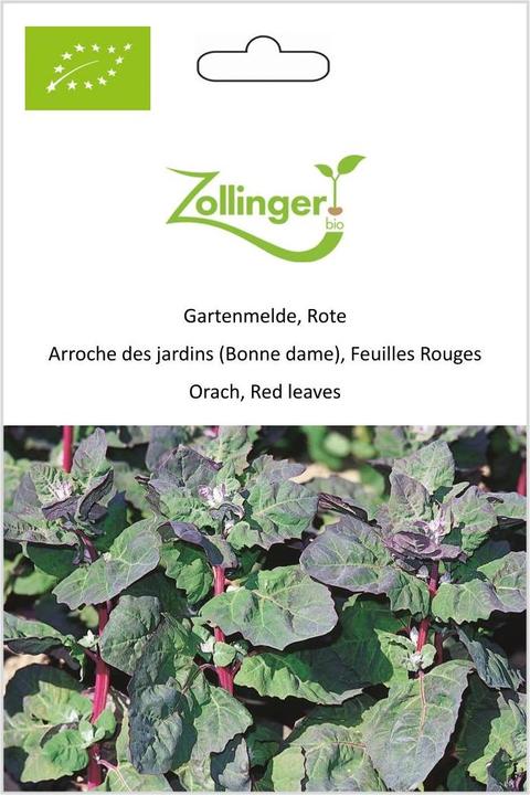 Actual product image Zollinger Bio Garden orchid, red