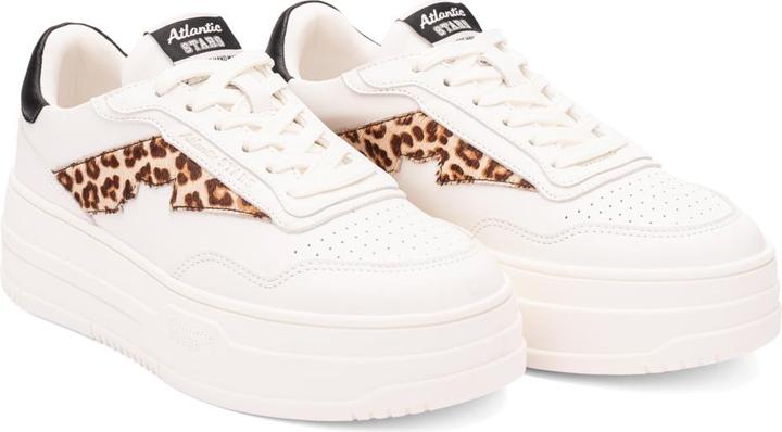 Produktbild Atlantic Stars Vienne (39)