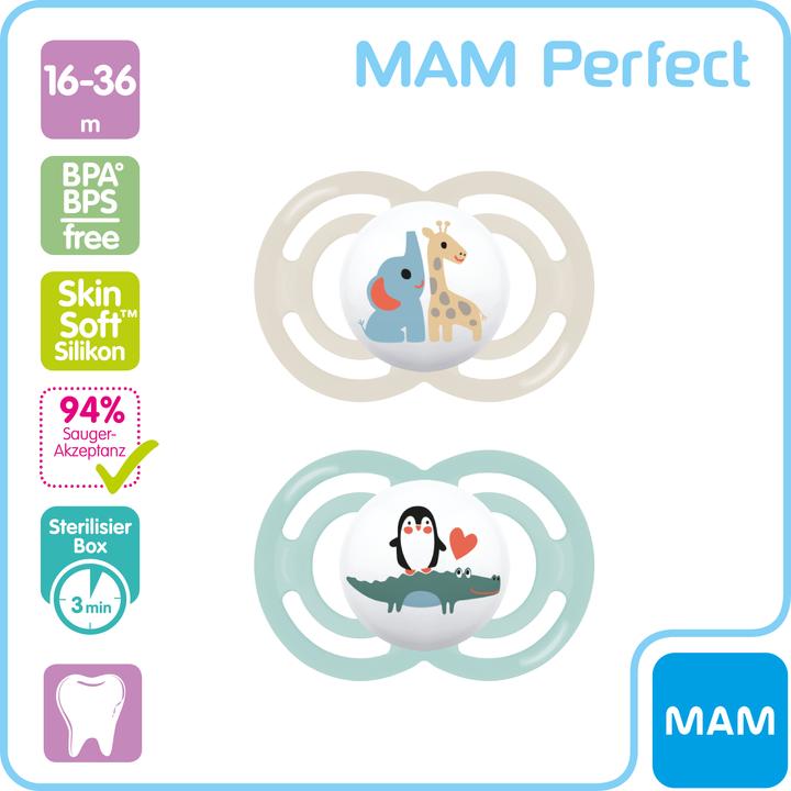 Actual product image MAM Perfect Nuggi Silikon 16-36 Monate (2 x, 16 - 36 M.)