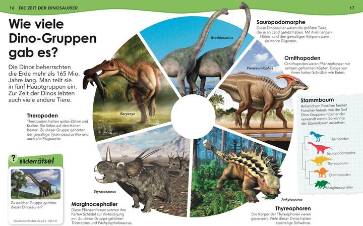 Produktbild Weshalb? Deshalb! Dinos (Deutsch, Nicholas St Fleur, 2020)