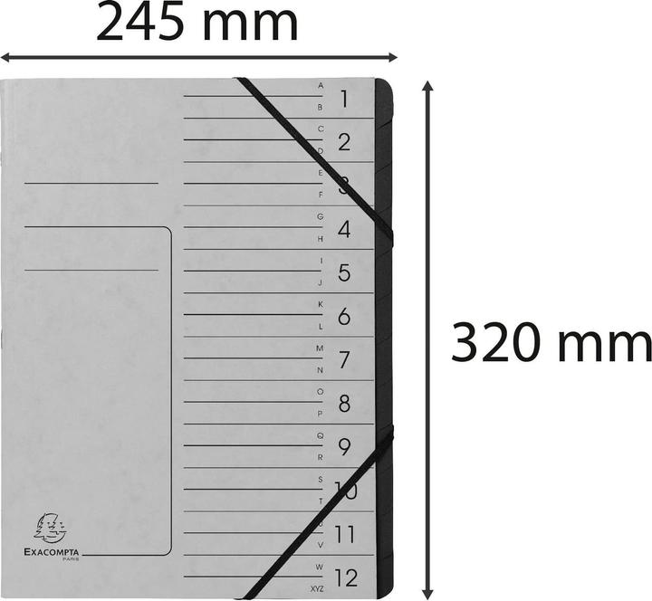 Actual product image Exacompta Stapled file folders (A4, 1 x)
