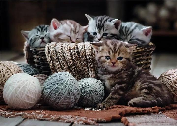 Immagine prodotto Nathan Puzzle 1500 pezzi Gattini (1500 pezzi)