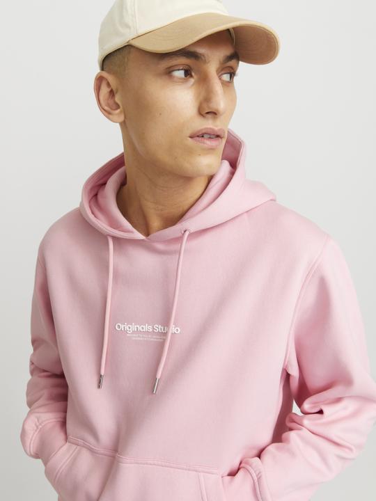Produktbild Jack & Jones Jorvesterbro Sweat Hood Noos (XXL)