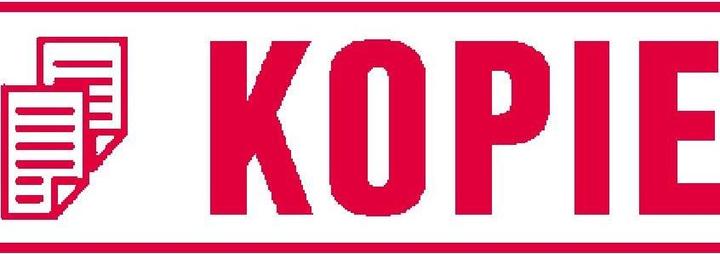 Actual product image Trodat Copy 4911