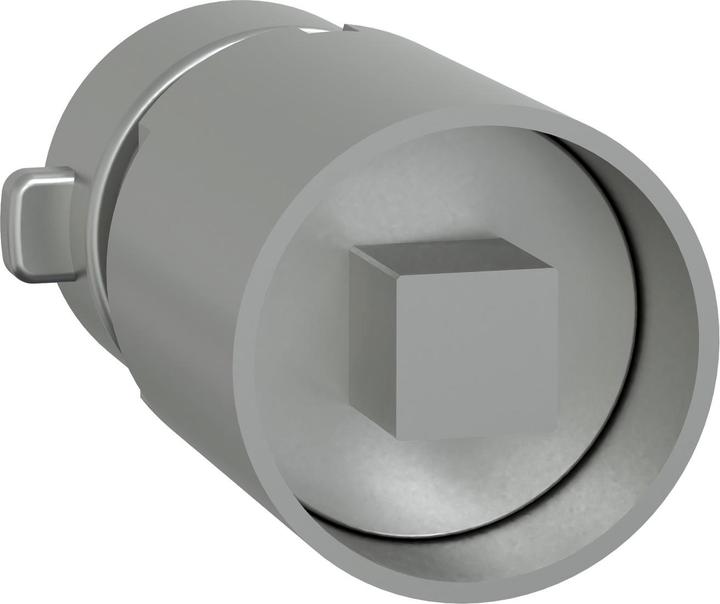 Actual product image Schneider PrismaSeT-P, cylinder lock, with square insert 6mm LVS07951