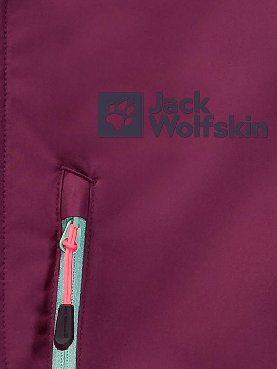 Produktbild Jack Wolfskin Alpspitze Hoody W (M)