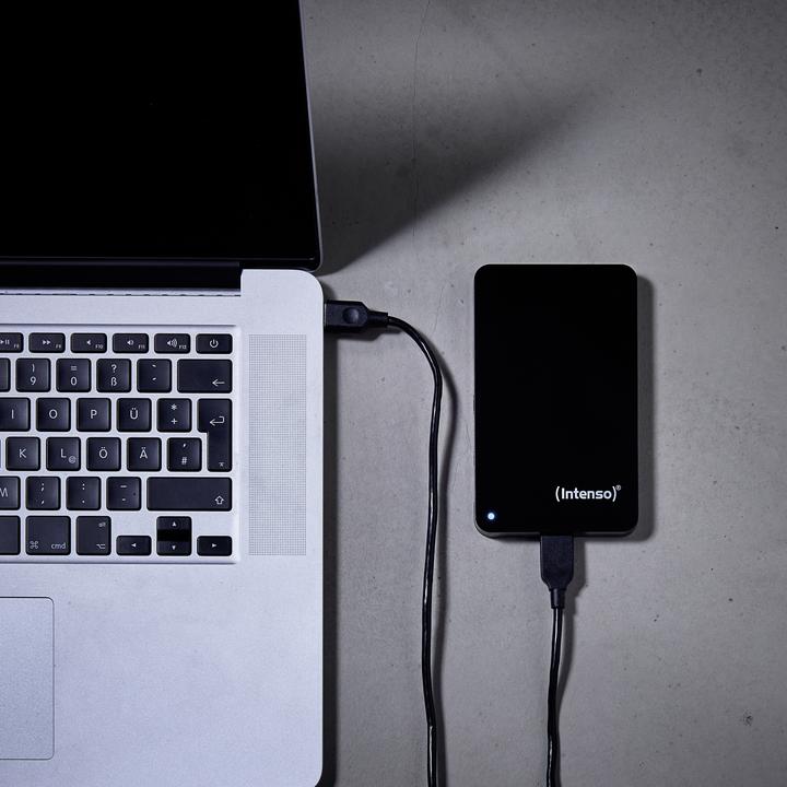Actual product image Intenso memory case (1 TB)