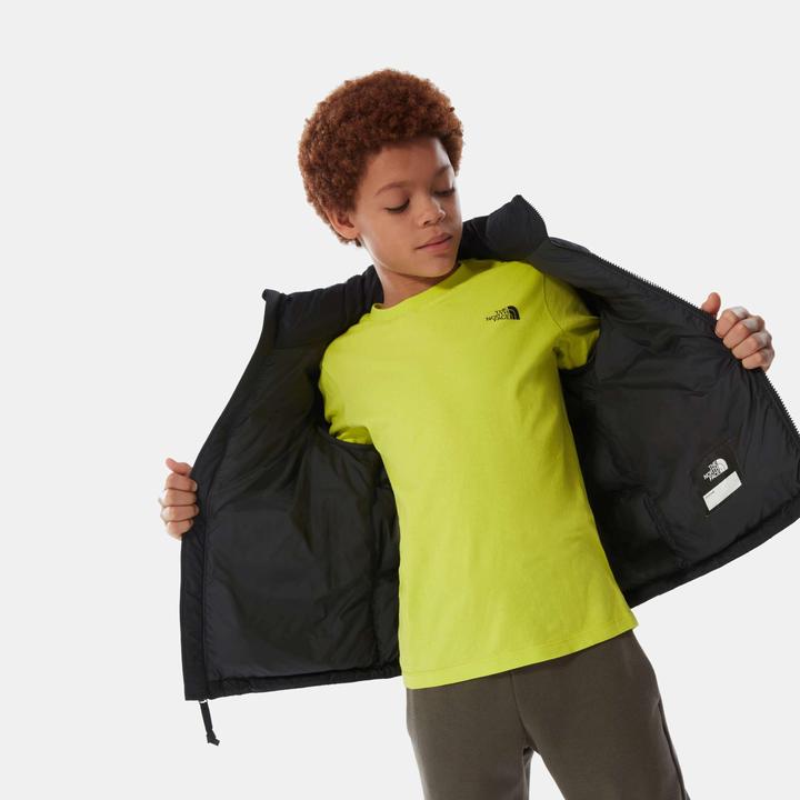 Actual product image North Face Nuptse down jacket (L)