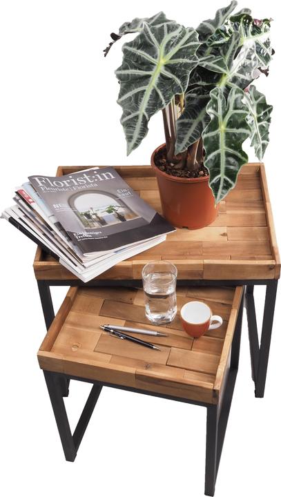 Image du produit Migros Ostschweiz Alocasia Polly (50 cm)