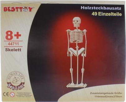Besttoy Holz-Modellbau - Skelett