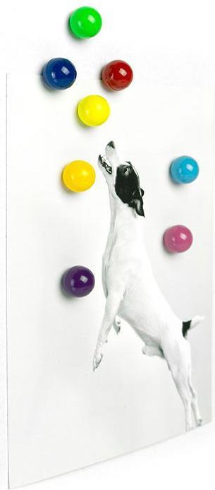 Produktbild Trendform Rainball (8 x)