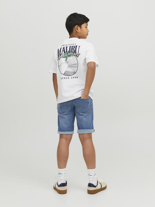 Produktbild Jack & Jones Regular Fit Regular Fit Shorts Mini Regular Fit Shorts (104)