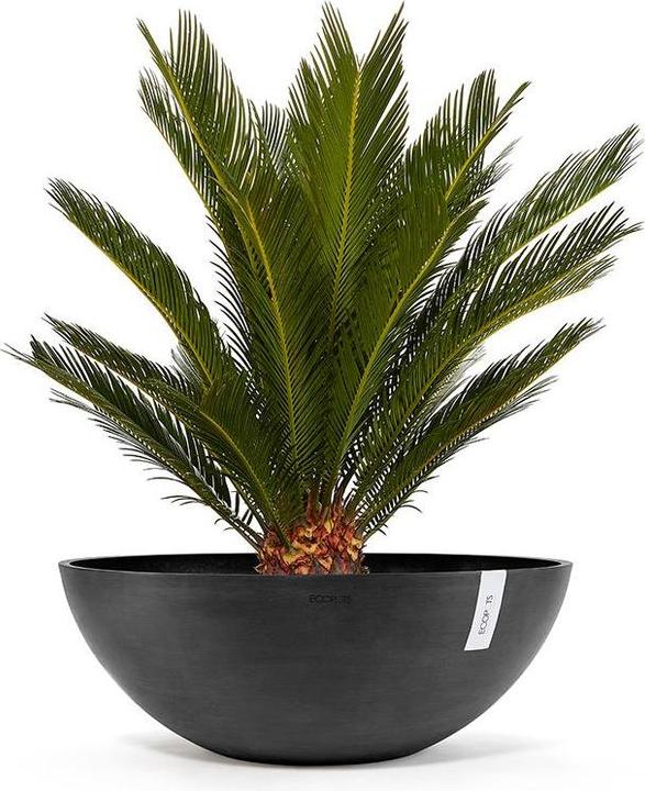 Produktbild Ecopots Vienna (70 x 25.50 cm)