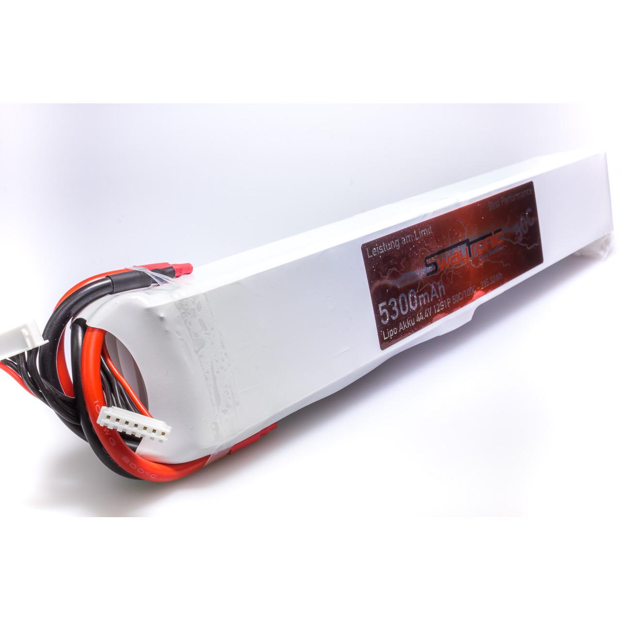Swaytronic Akku (44.40 V, 5300 mAh)