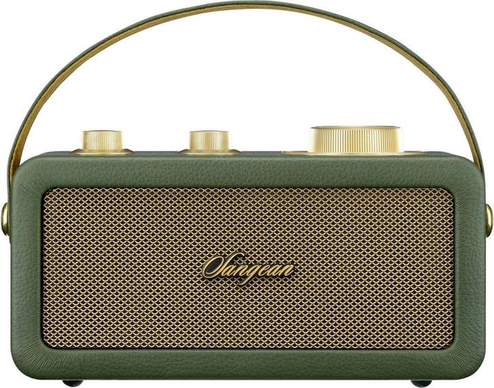 Image du produit Sangean RA-101 Radio à piles FM Bluetooth®, AUX rechargeable Vert, Or (FM, Bluetooth)