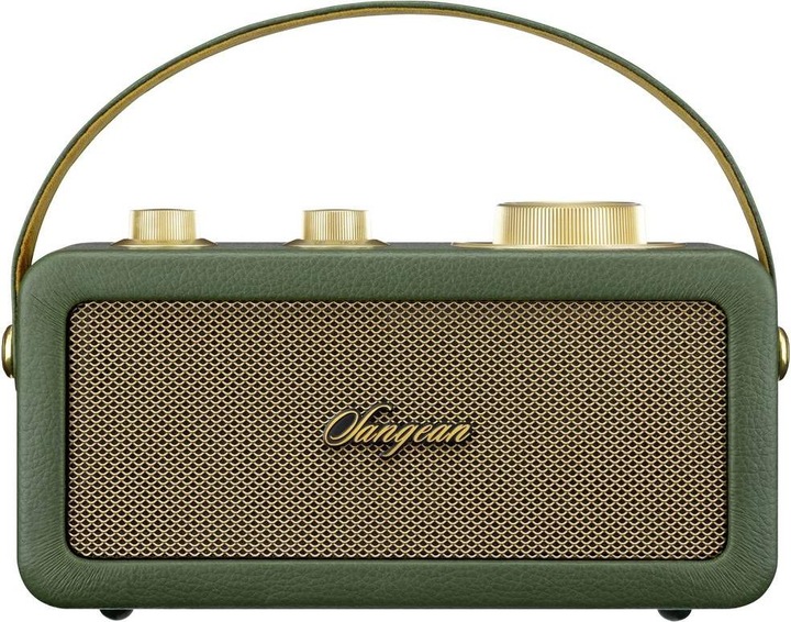 Immagine prodotto Sangean RA-101 Batteria Radio FM Bluetooth®, AUX ricaricabile Verde, Oro (FM, Bluetooth)