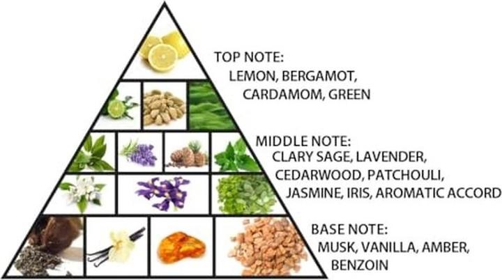 Actual product image Al Haramain L'Aventure Iris (Extrait De Parfum, 100 ml)