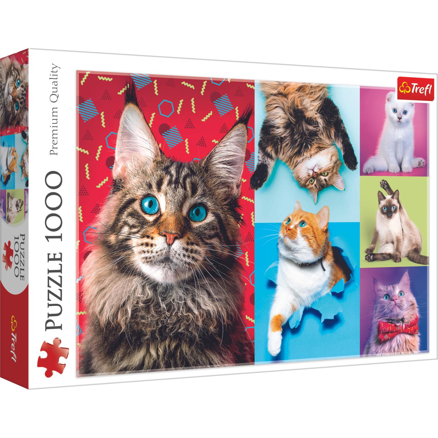 Trefl Lustige Katzen (1000 Teile)