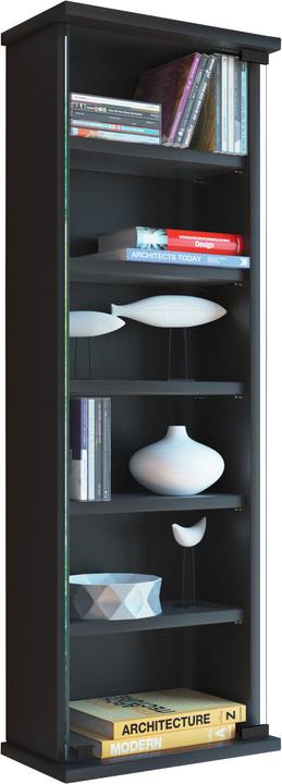 Produktbild VCM Holz CD DVD Wandregal Loposa mit Glastür (31 x 18 x 92 cm)