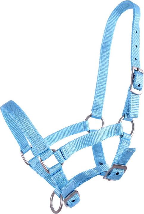 Image du produit Qhp Licol pour poulain