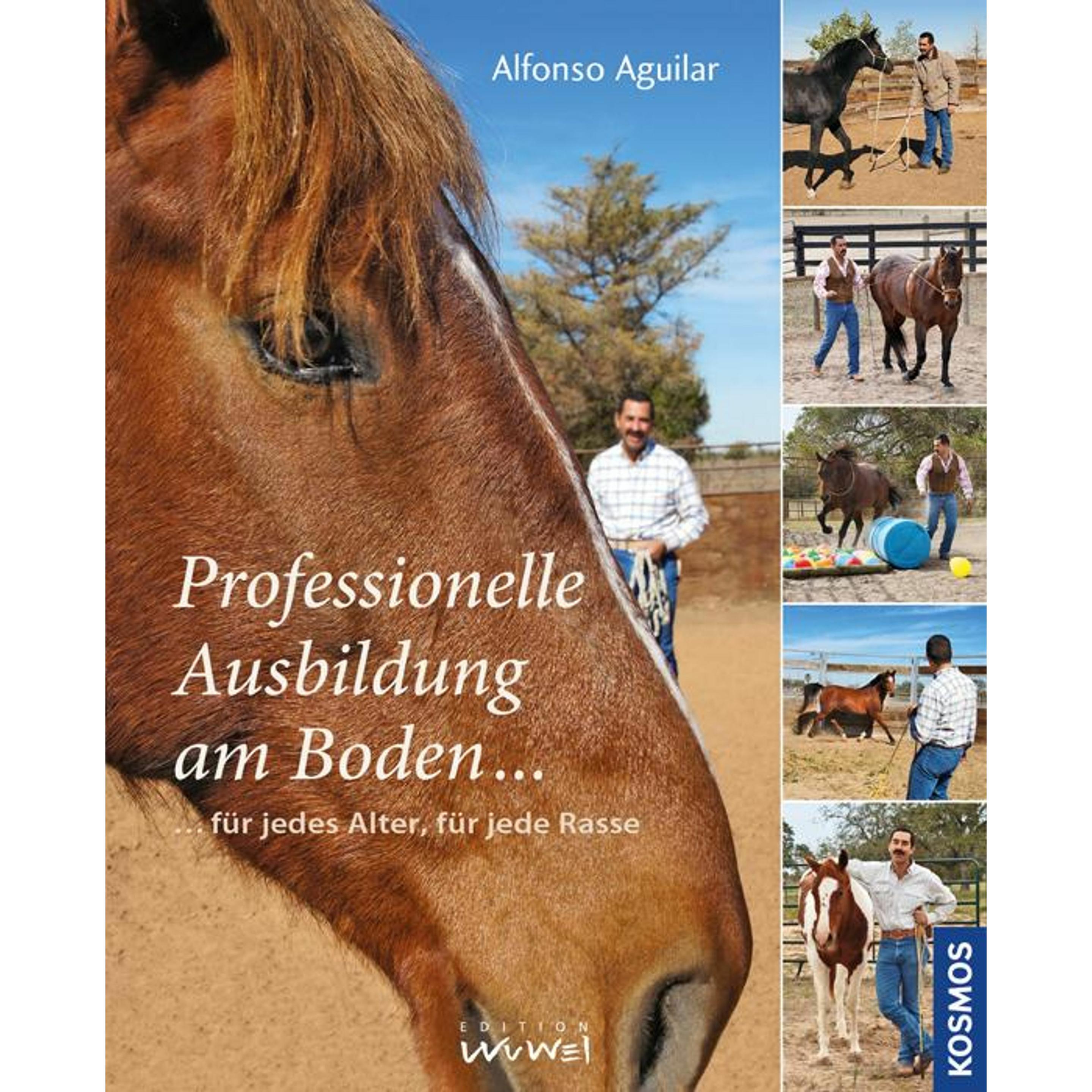 Professionelle Ausbildung am Boden für jedes Alter, für jede Rasse, Ratgeber von Alfonso Aguilar