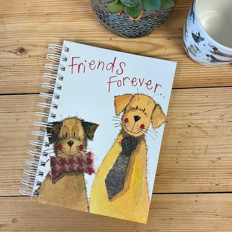 Teka, Quaderni + Bloc notes, Spiralnotizbuch A5/100K SJ06 Friends forever TW (A5)