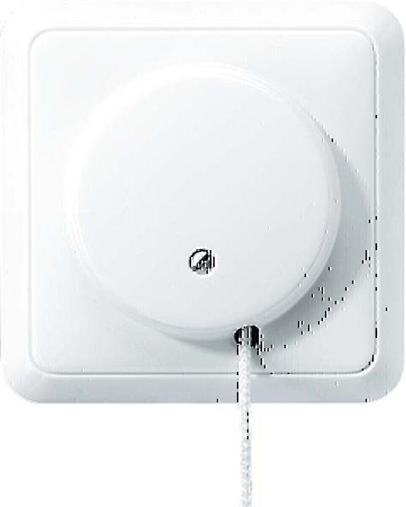 Immagine prodotto JUNG Interruttore a strappo