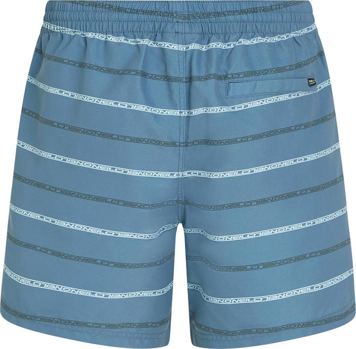 Immagine prodotto O'Neill Cali First 15" Swimshorts (L)
