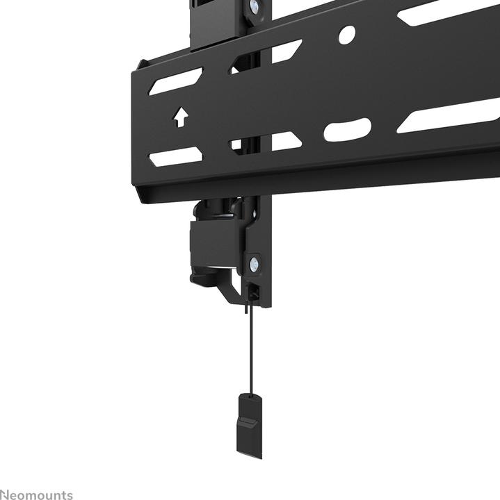 Image du produit Neomounts Support mural WL30S-850BL12 Noir (Mur, 65", 50 kg)