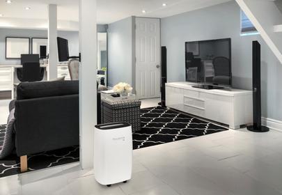 Image du produit Rowenta DH4236 (16 l/24h)