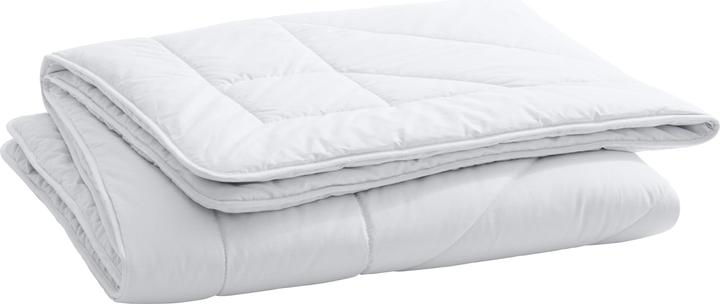 Billerbeck Cammello Duo