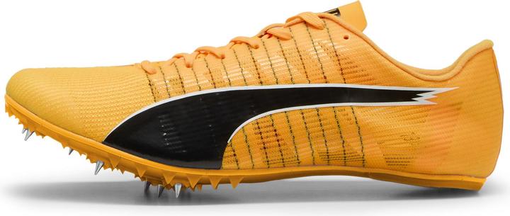 Actual product image Puma evoSPEED FUTURE 6 (40)