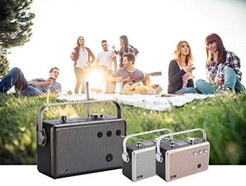 Actual product image Ferguson Radio Regent P1 gray (gray)