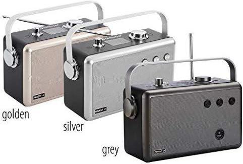 Actual product image Ferguson Radio Regent P1 gray (gray)