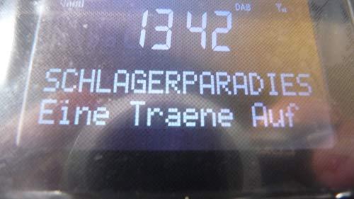 Actual product image Ferguson Radio Regent P1 gray (gray)