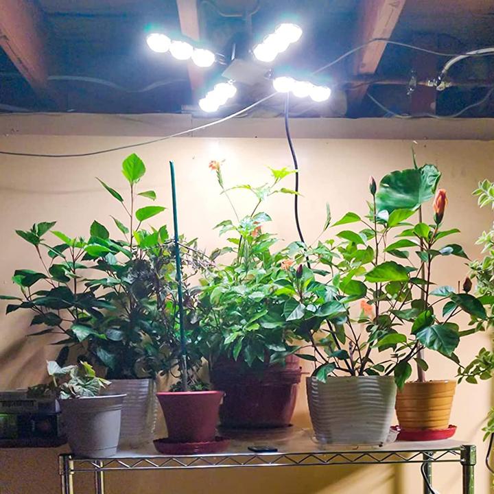 Immagine prodotto Sansi Luce della pianta (LED)