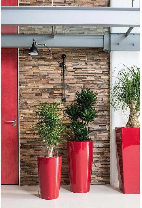 Immagine prodotto Lechuza Rondo (32.50 x 56.50 cm)