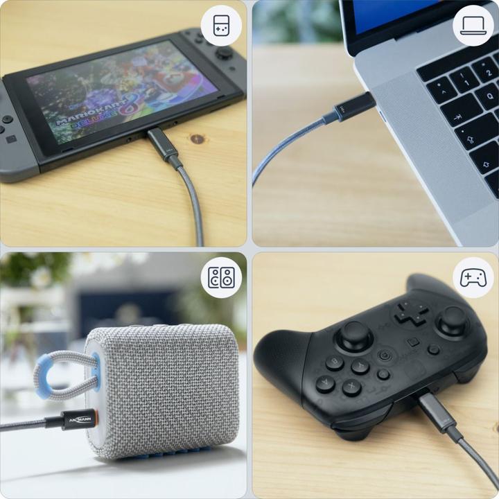 Image du produit Ansmann USB-C -> USB-C S/S 60cm câble de charge 140W anthracite (0.60 m, USB 3.0, USB 3.1)