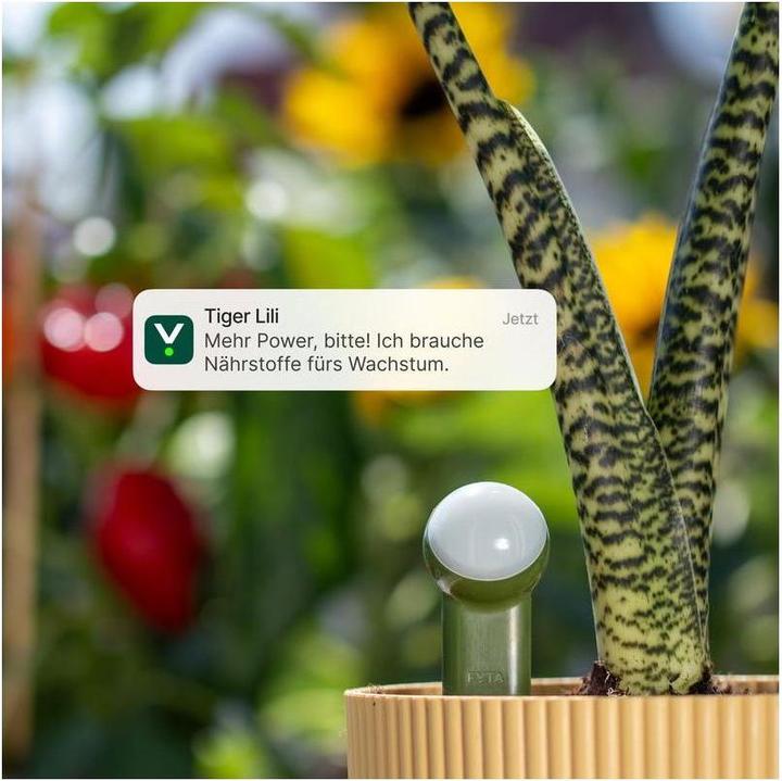 Image du produit FYTA Tropfer-Set Beam Gen2 Body